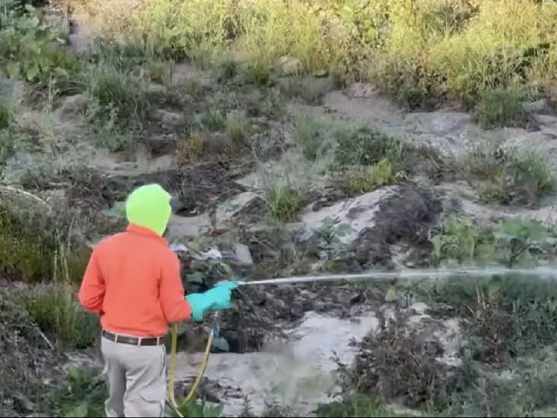 A worker in an orange top and high-visibility hood spraying a visible stream of liquid across vegetation in a dry creek bed, using a handheld wand connected to a yellow hose.
