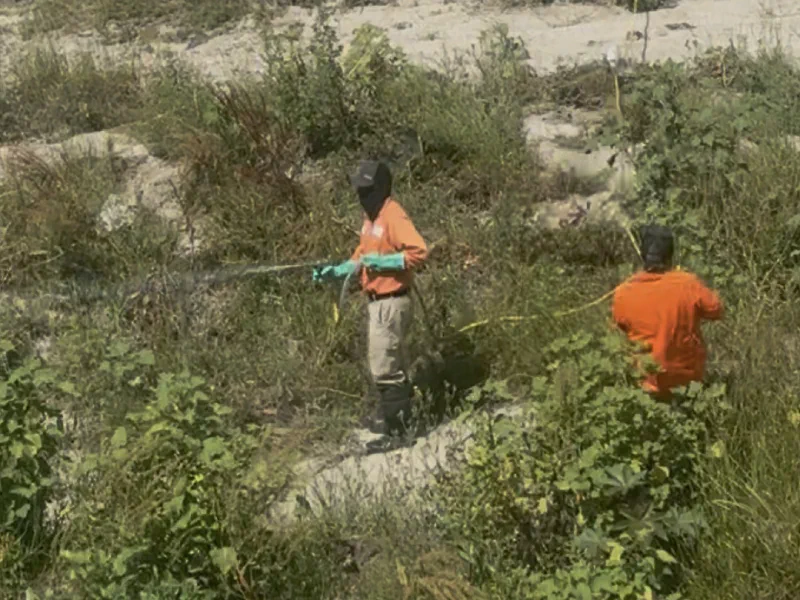 A worker in an orange top, black face covering and teal chemical-resistant gloves spraying vegetation in a creek bed, with a second worker crouching nearby holding the hose.